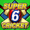 Super Six Cricket Icon