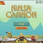 Ninja Cannon Screenshot
